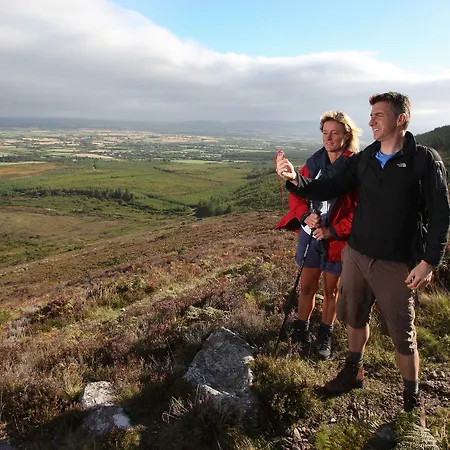 The Fitzwilton וואטרפורד